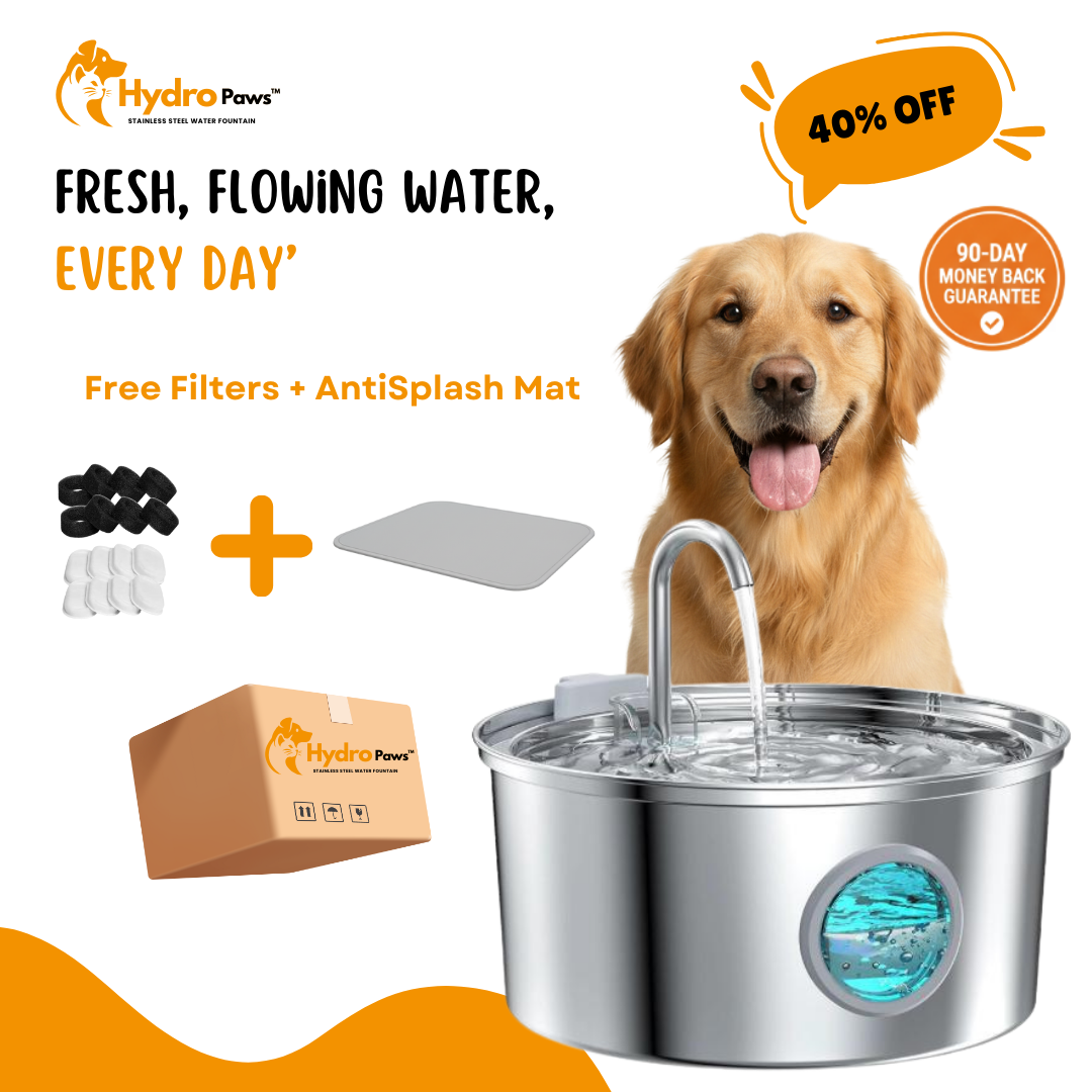 HydroPaws™ - The Smart Filtered Dog Fountain